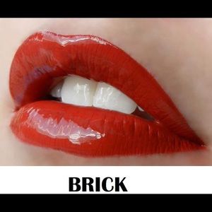 LipSense longlasting lipstick Brick NWT 🦄